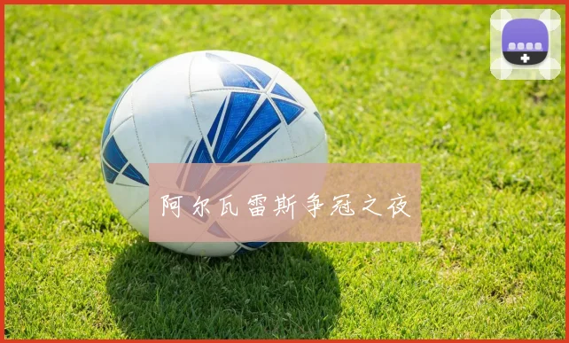 阿尔瓦雷斯争冠之夜