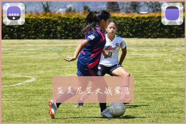 亚美尼亚大战蒙古