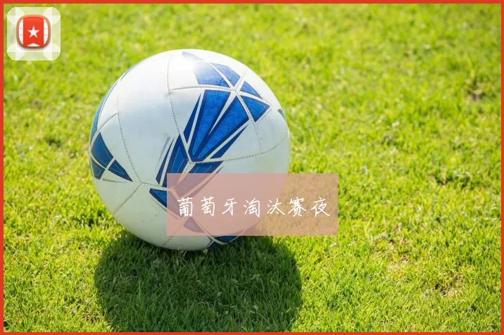 葡萄牙淘汰赛夜