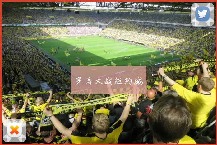 罗马大战纽约城