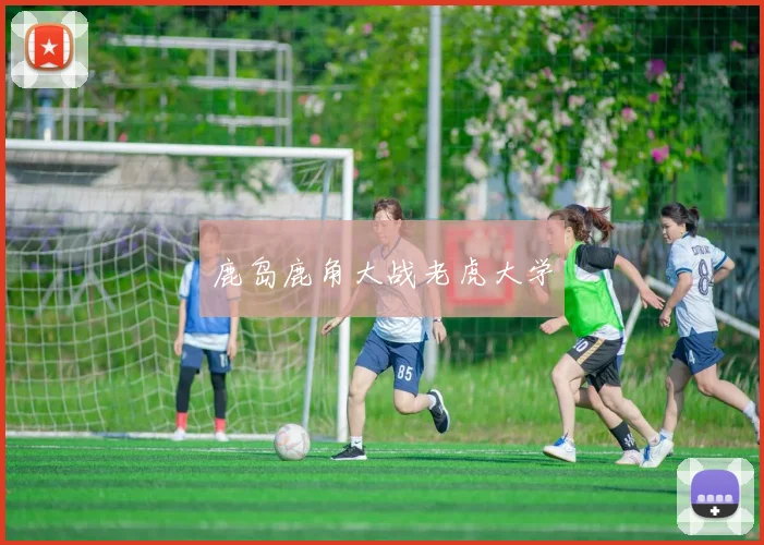 鹿岛鹿角大战老虎大学