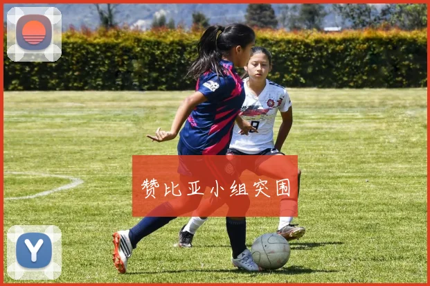 赞比亚小组突围