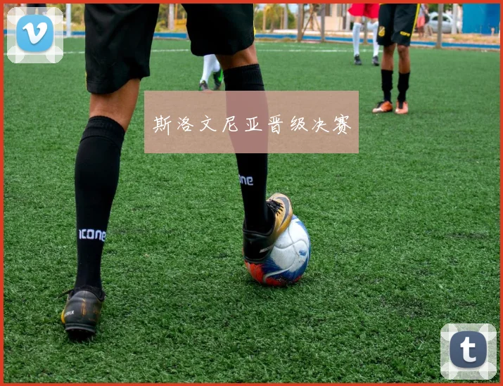 斯洛文尼亚晋级决赛
