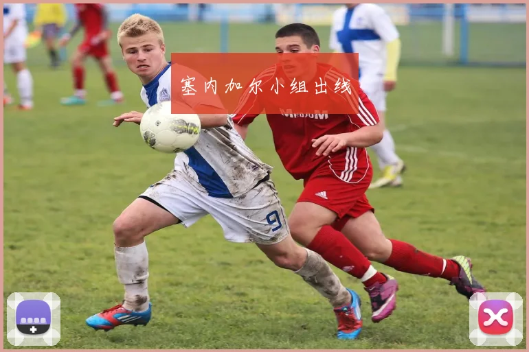 塞内加尔小组出线