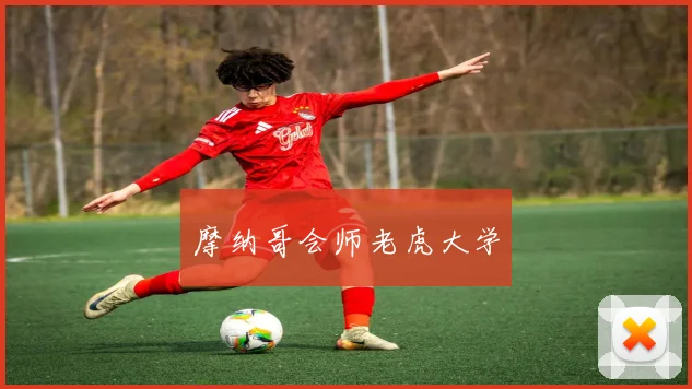 摩纳哥会师老虎大学