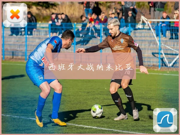西班牙大战纳米比亚