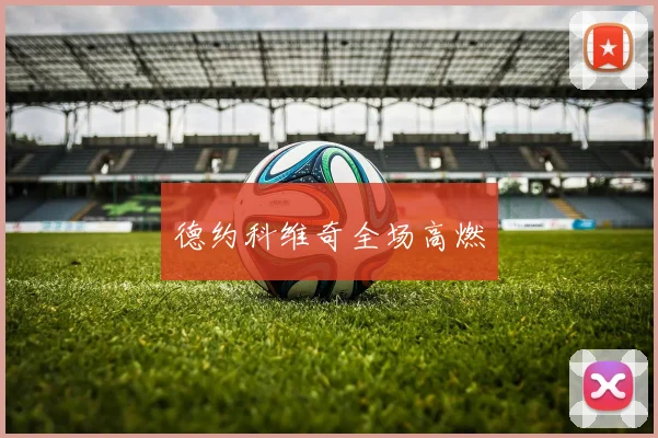 德约科维奇全场高燃