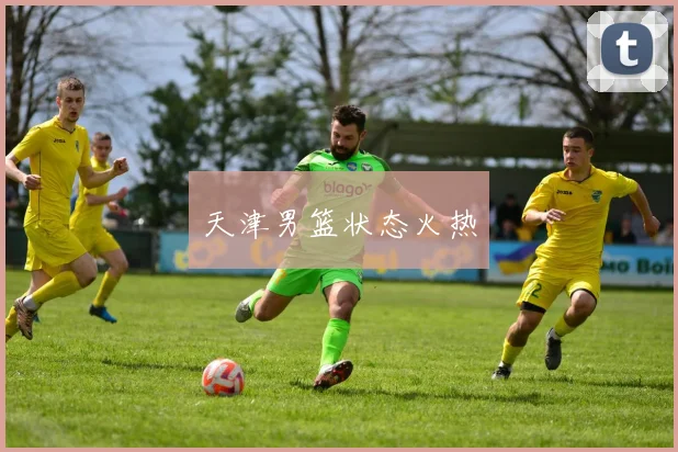 天津男篮状态火热