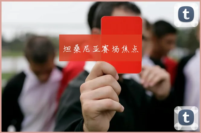 坦桑尼亚赛场焦点