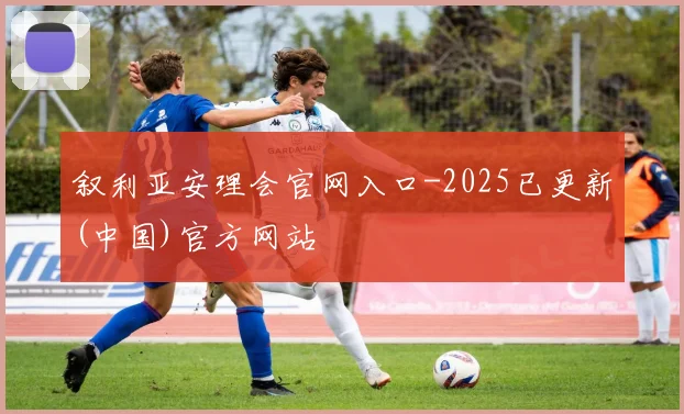 叙利亚安理会官网入口-2025已更新(中国)官方网站