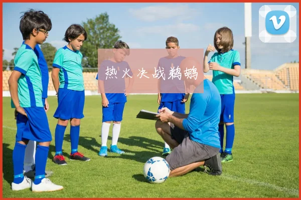 热火决战鹈鹕