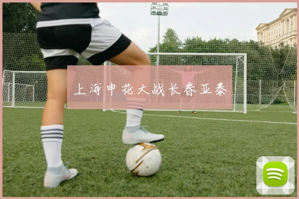 上海申花大战长春亚泰