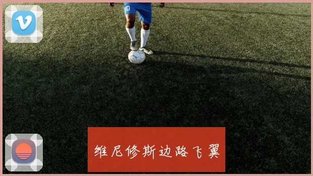 维尼修斯边路飞翼