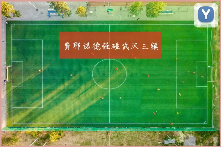 费耶诺德强碰武汉三镇