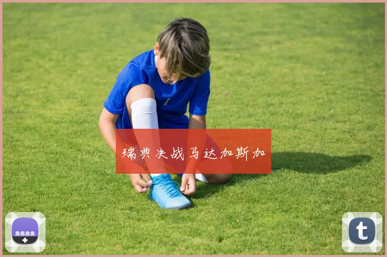 瑞典决战马达加斯加