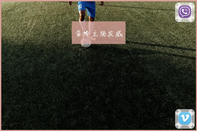 黄蜂主场发威