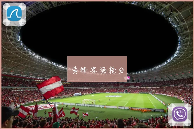 黄蜂客场抢分