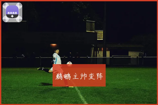 鹈鹕主帅变阵