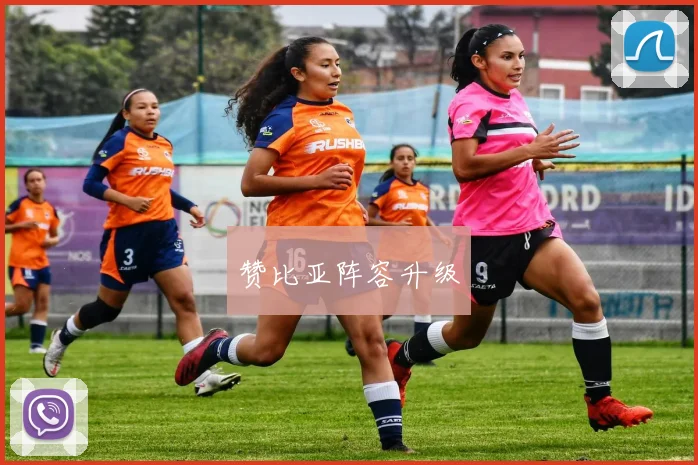 赞比亚阵容升级