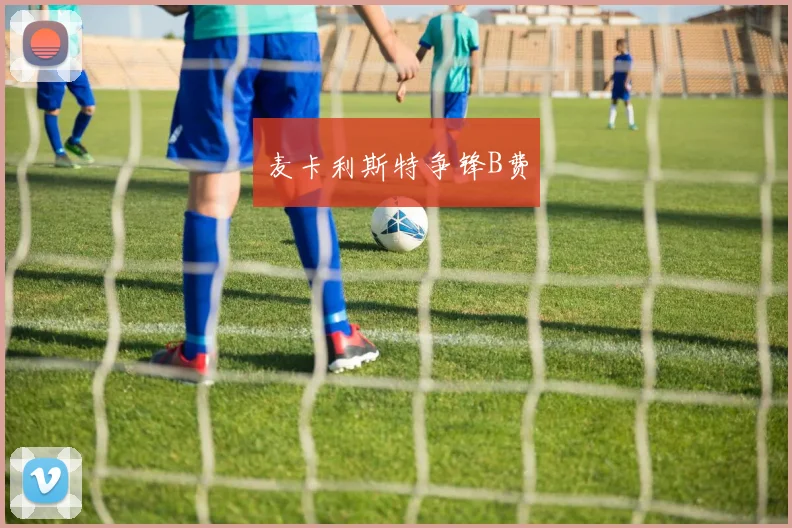 麦卡利斯特争锋B费
