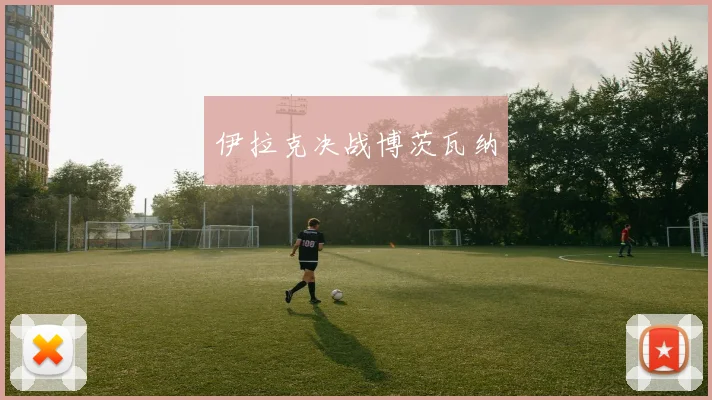 伊拉克决战博茨瓦纳