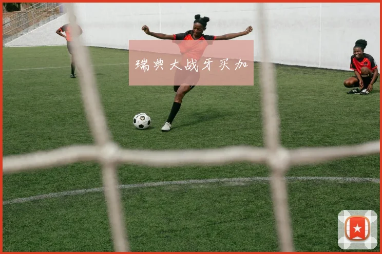 瑞典大战牙买加