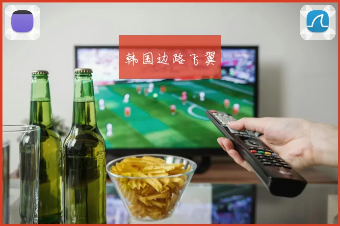 韩国边路飞翼