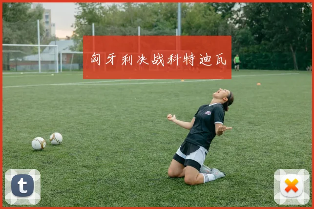 匈牙利决战科特迪瓦