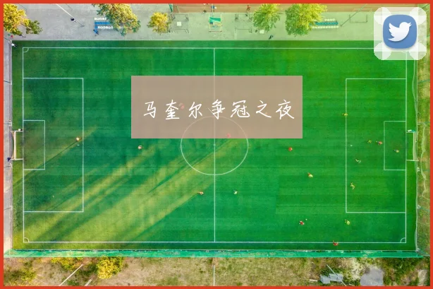 马奎尔争冠之夜