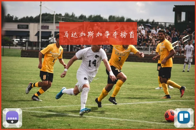 马达加斯加争夺榜首