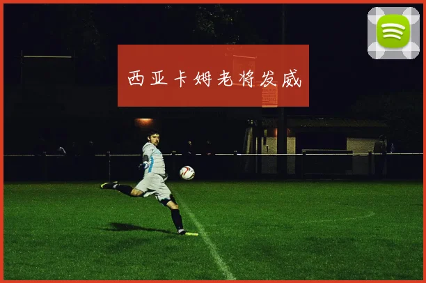 西亚卡姆老将发威