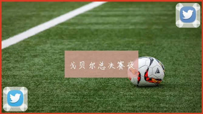 戈贝尔总决赛夜