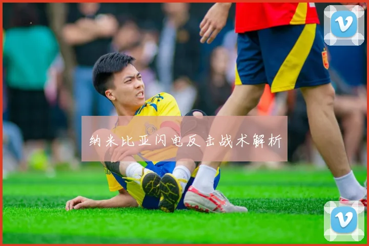纳米比亚闪电反击战术解析