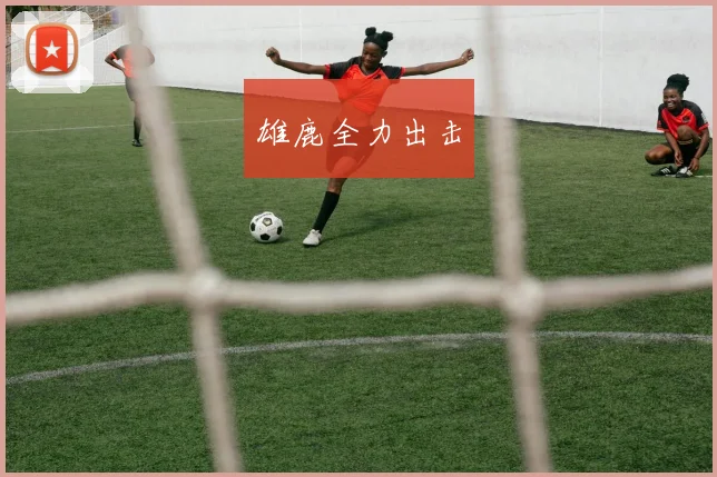 雄鹿全力出击