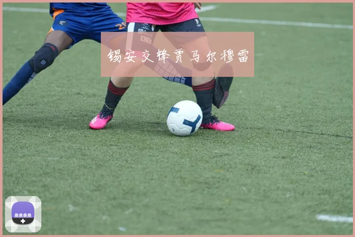 锡安交锋贾马尔穆雷