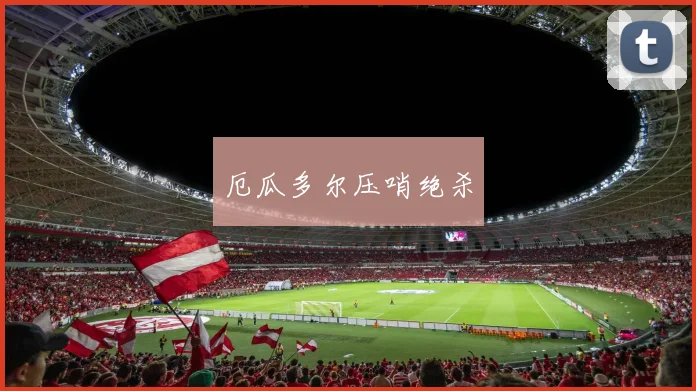 厄瓜多尔压哨绝杀