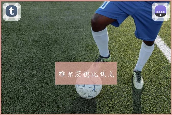 维尔茨德比焦点