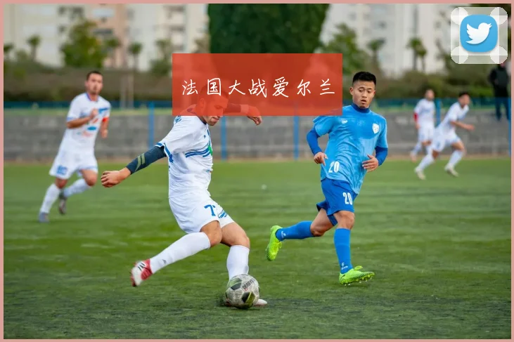 法国大战爱尔兰
