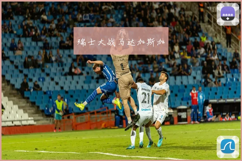瑞士大战马达加斯加