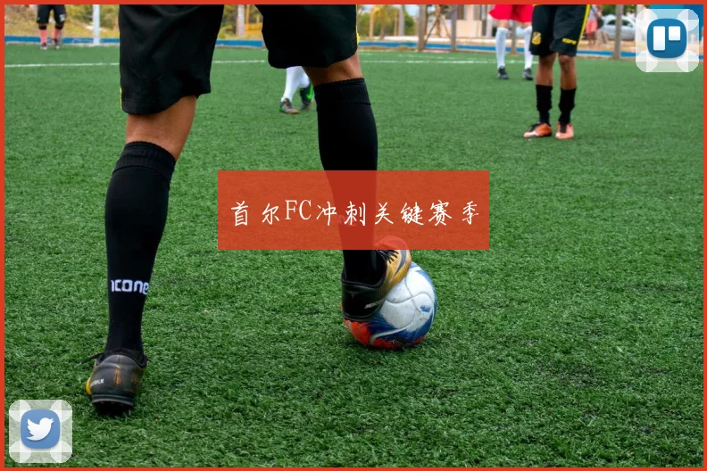 首尔FC冲刺关键赛季