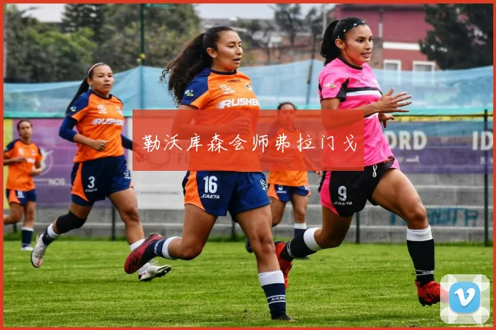 勒沃库森会师弗拉门戈