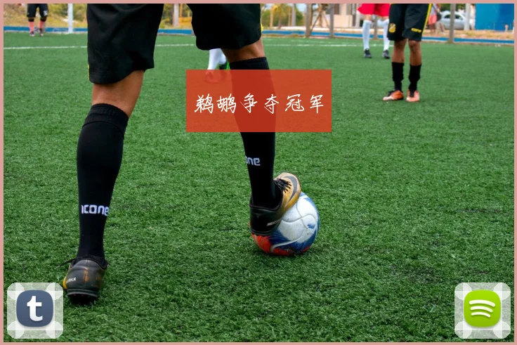 鹈鹕争夺冠军