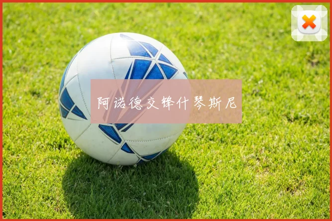 阿诺德交锋什琴斯尼