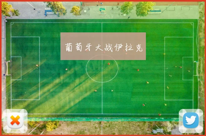 葡萄牙大战伊拉克