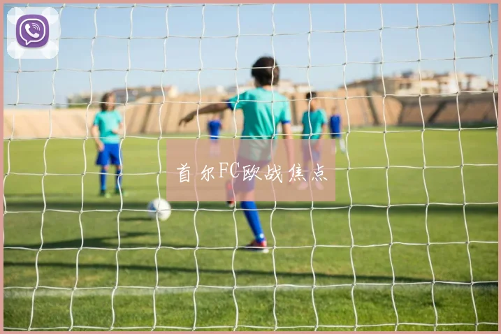 首尔FC欧战焦点