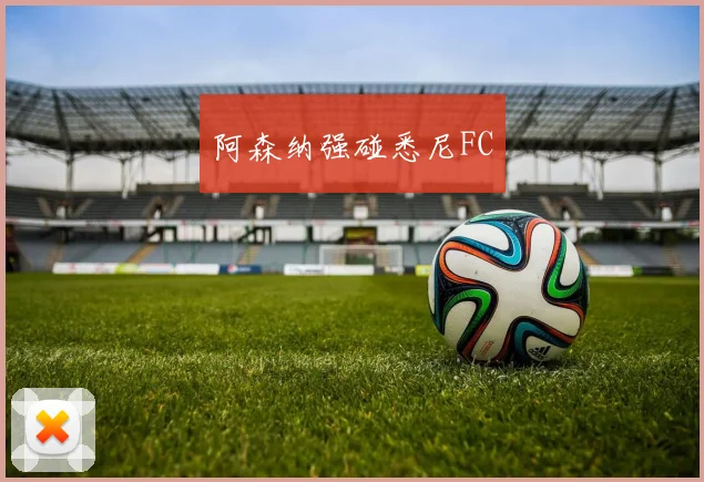 阿森纳强碰悉尼FC