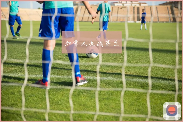 加拿大决战芬兰