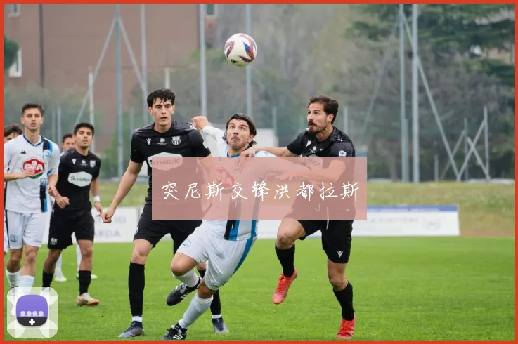 突尼斯交锋洪都拉斯
