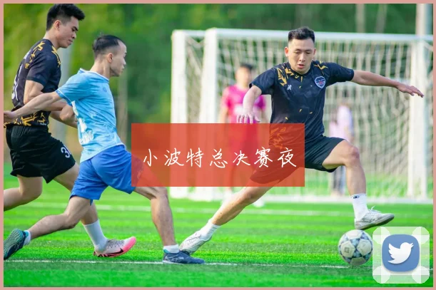 小波特总决赛夜