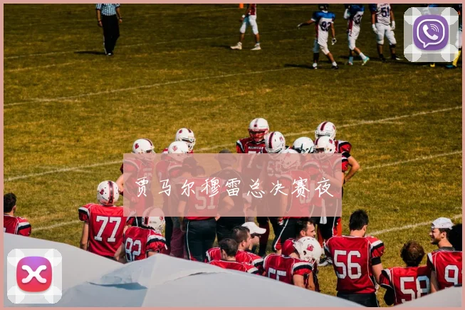 贾马尔穆雷总决赛夜